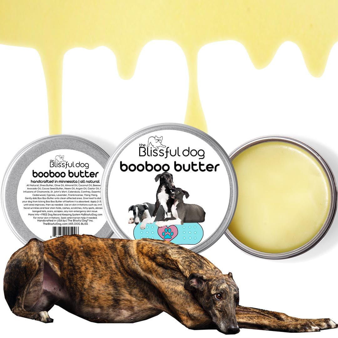 Greyhound Custom Combo