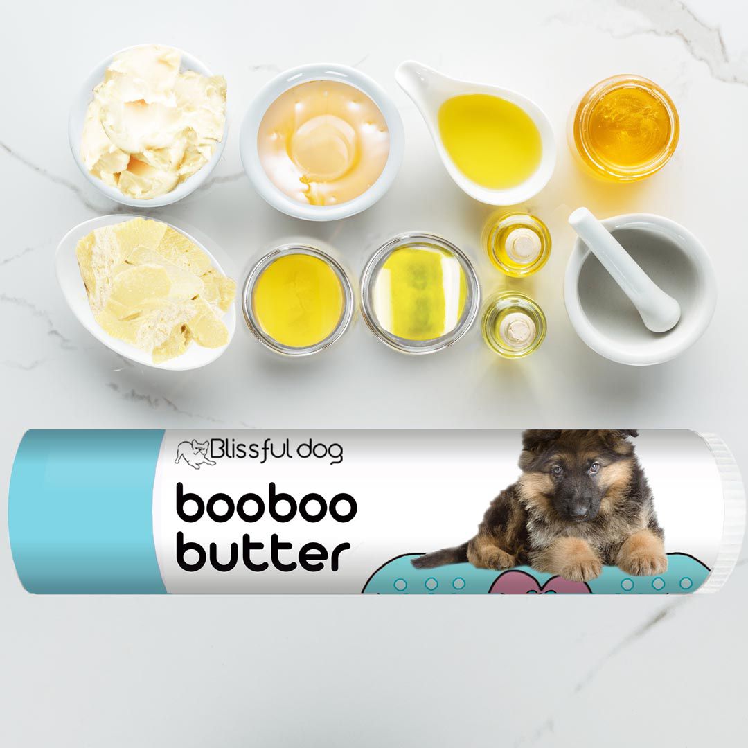 german shepherd itchy skin