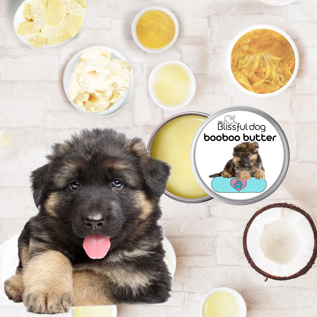 German Shepherd Skin Treatment Soothes Minor Skin Irritations