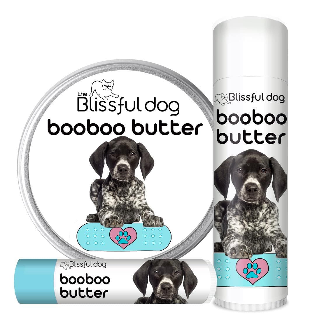german shorthaired pointer skin care