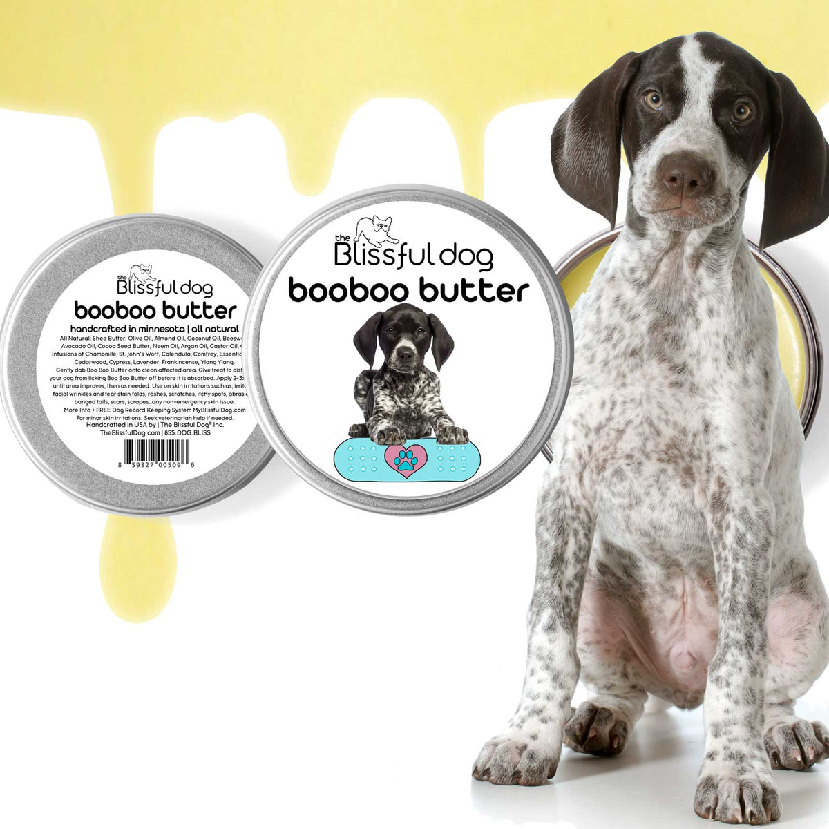 German Shorthaired Pointer itchy skin