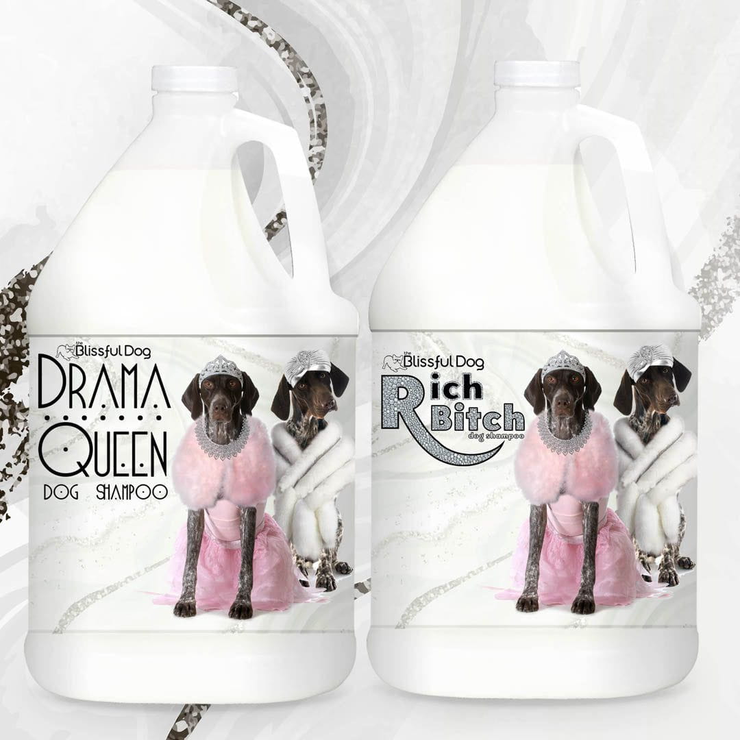 Rich Bitch Drama Queen German Shorthair Pointer Shampoo Posh Bathing