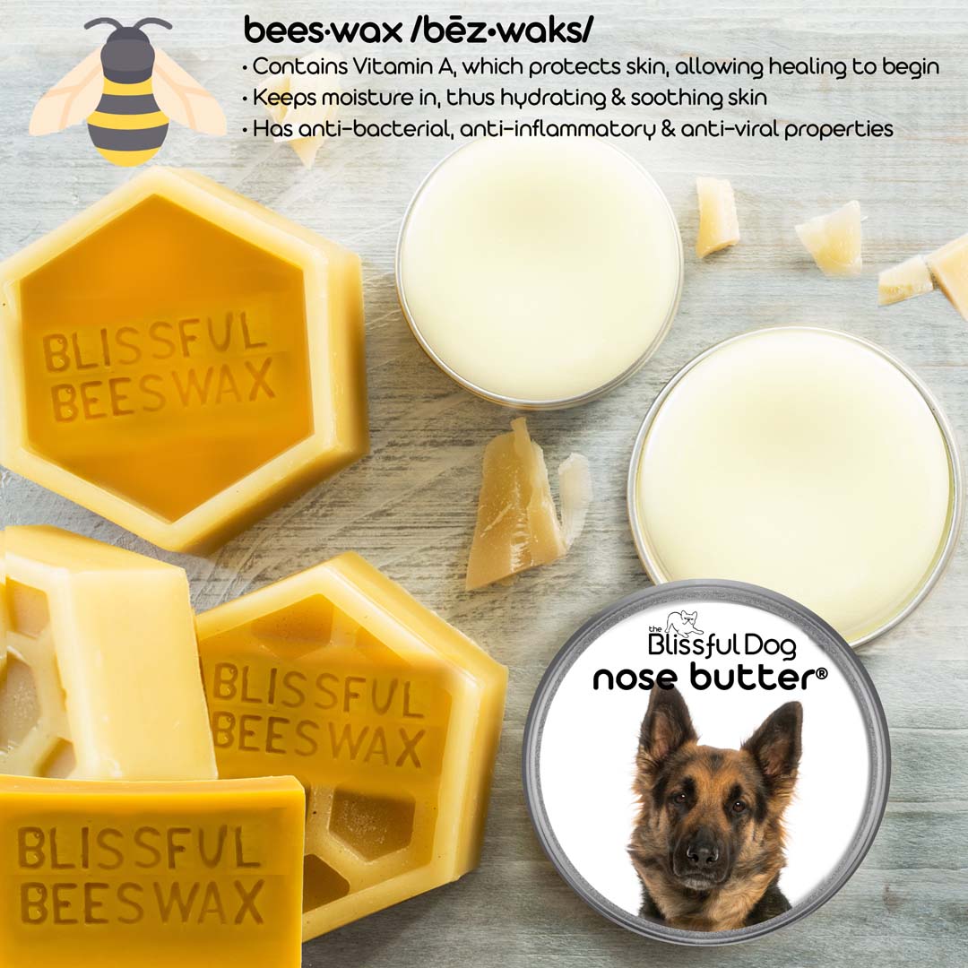 german shepherd chapped nose