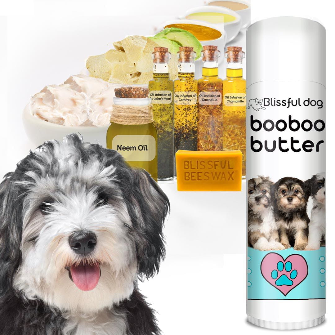 All Natural Boo Boo Butter Your Havanese Skin Care Go To Balm