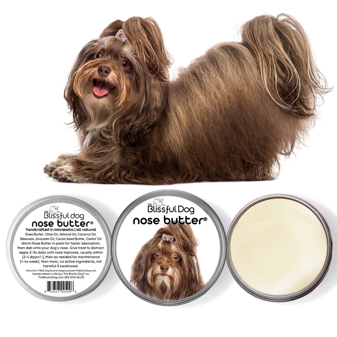 Havanese Nose Butter All Natural Balm for Your Dog s Rough Dry Nose