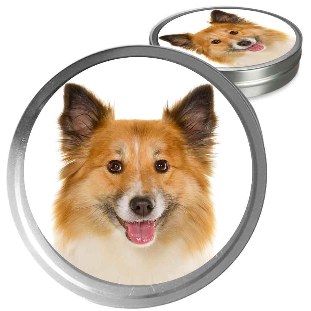 Icelandic Sheepdog Custom Combo