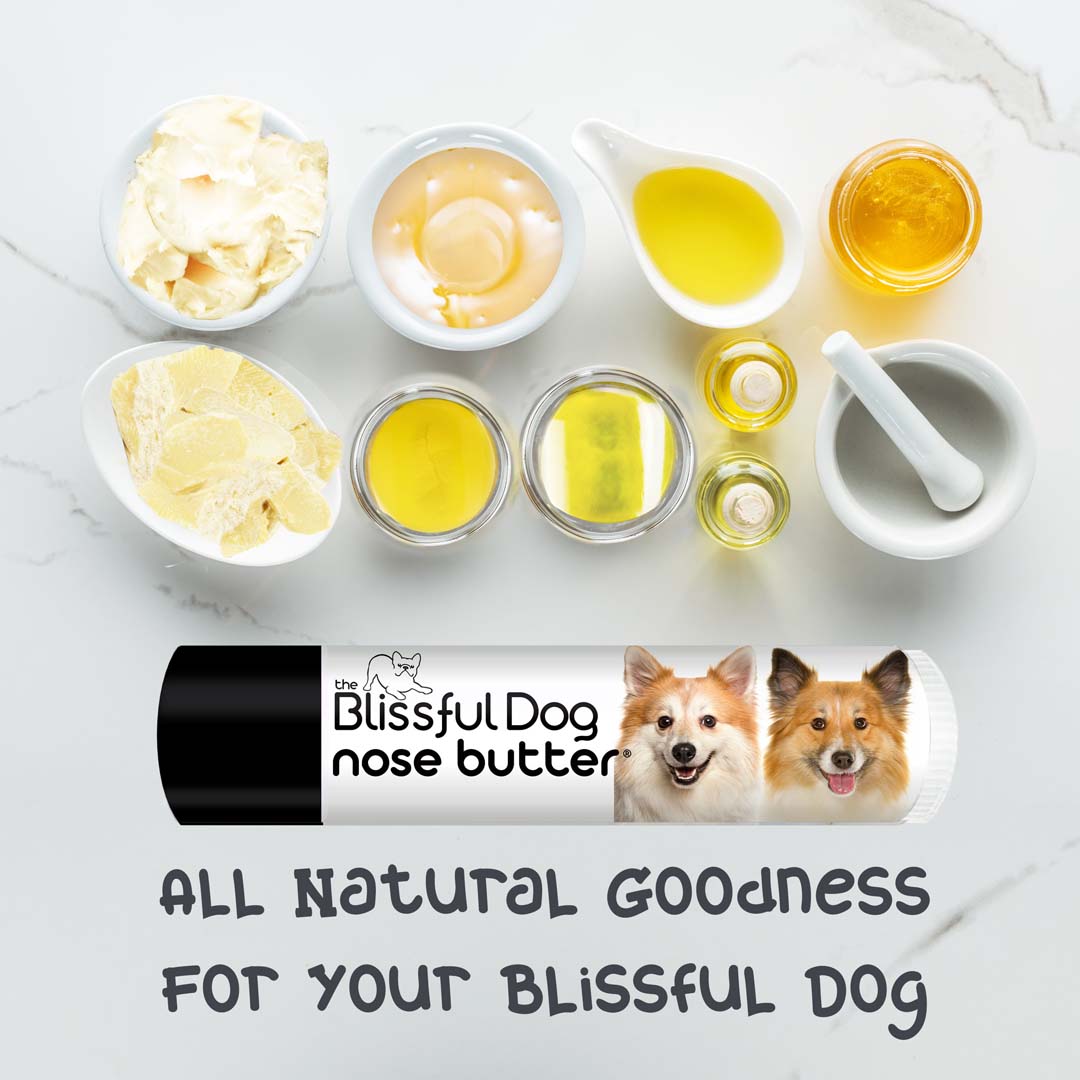 Icelandic Sheepdog Tube Combo