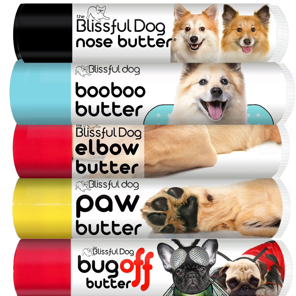 Icelandic Sheepdog skin care