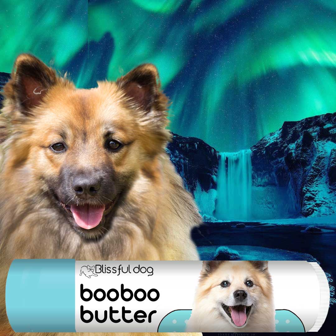 Icelandic Sheepdog Tube Combo