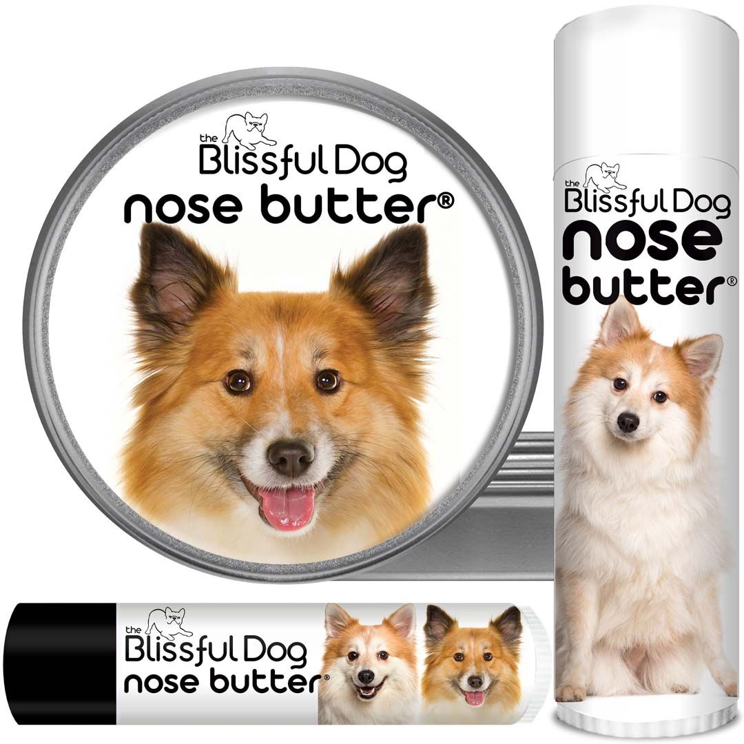 Icelandic Sheepdog nose butter