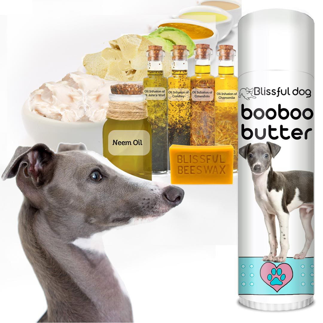 Greyhound hot sale grooming products