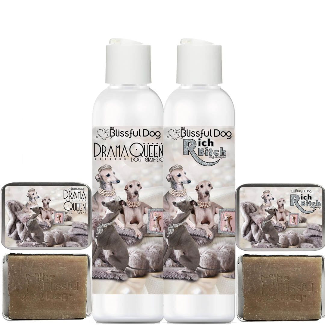 Italian Greyhound shampoo 