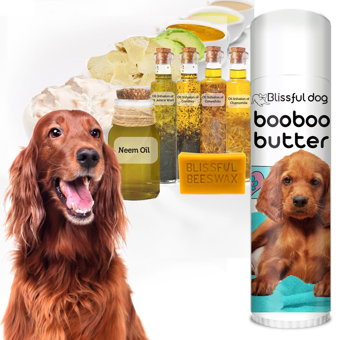 Boo Boo Butter Your Irish Setter Skin Care All Natural Dog Balm