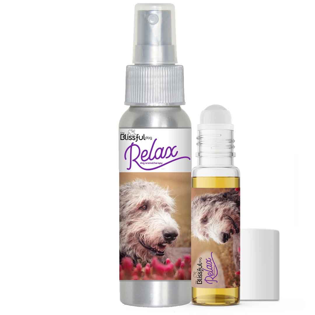 Irish Wolfhound aromatherapy