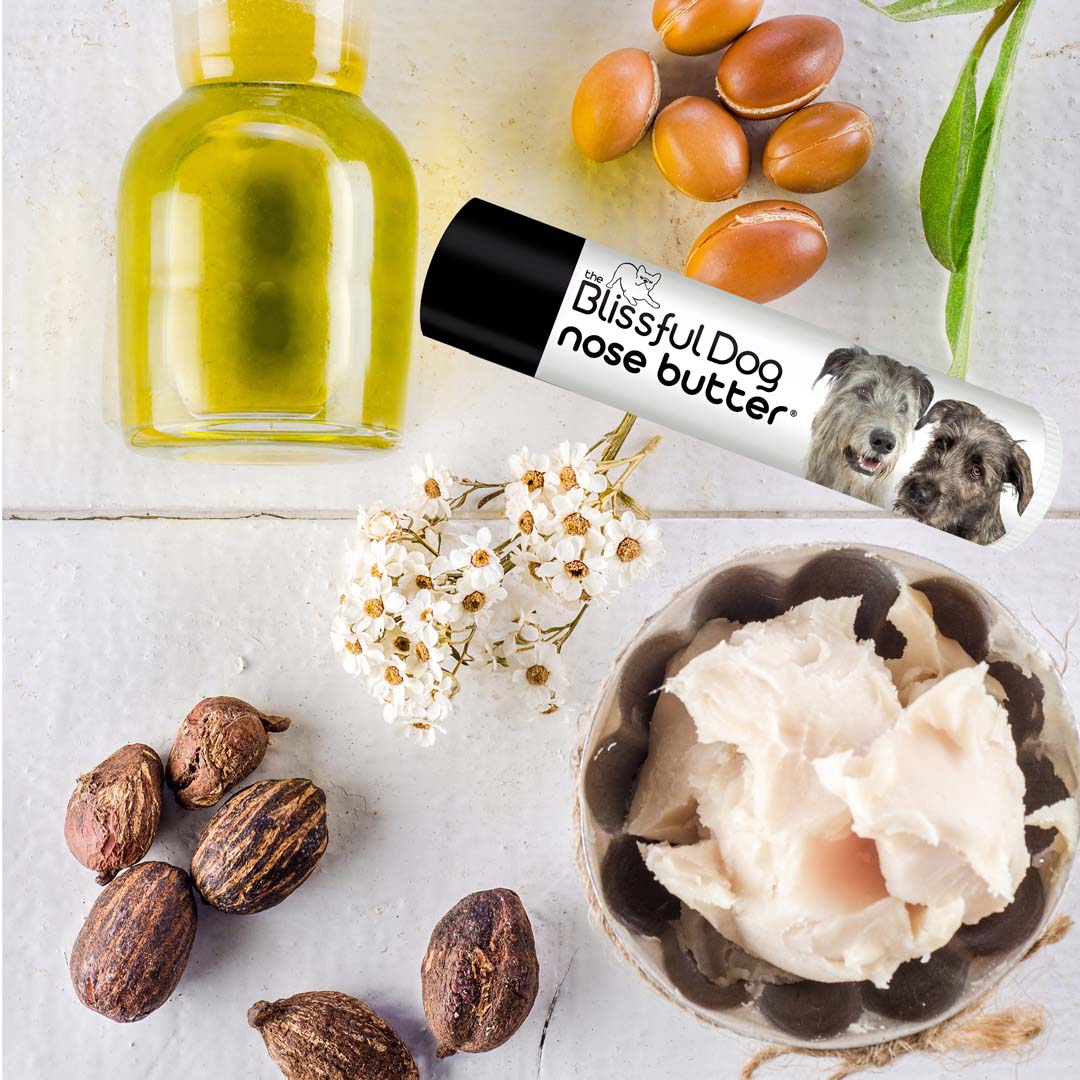 Irish Wolfhound nose moisturizer