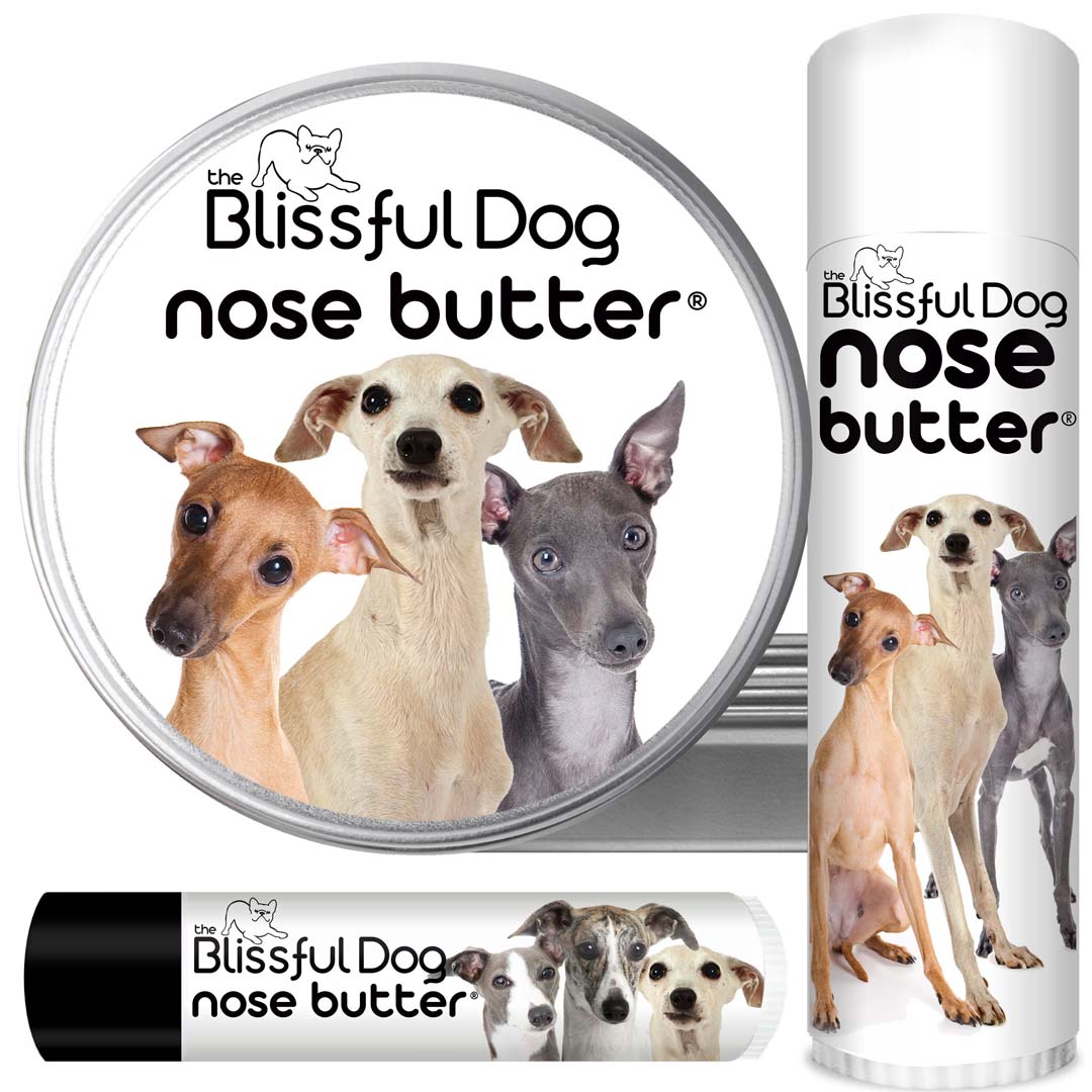 Italian Greyhound nose butter