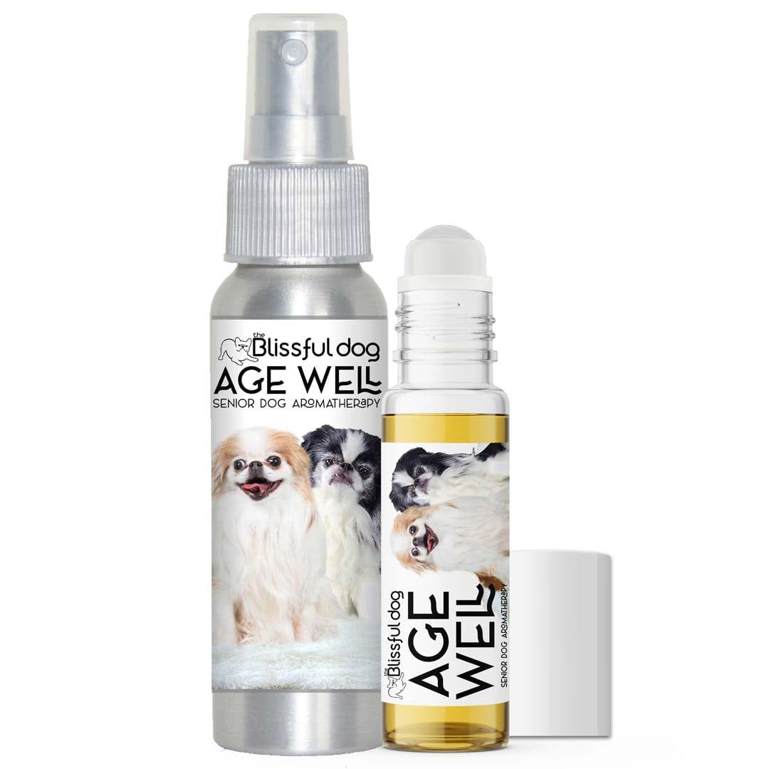 senior japanese chin