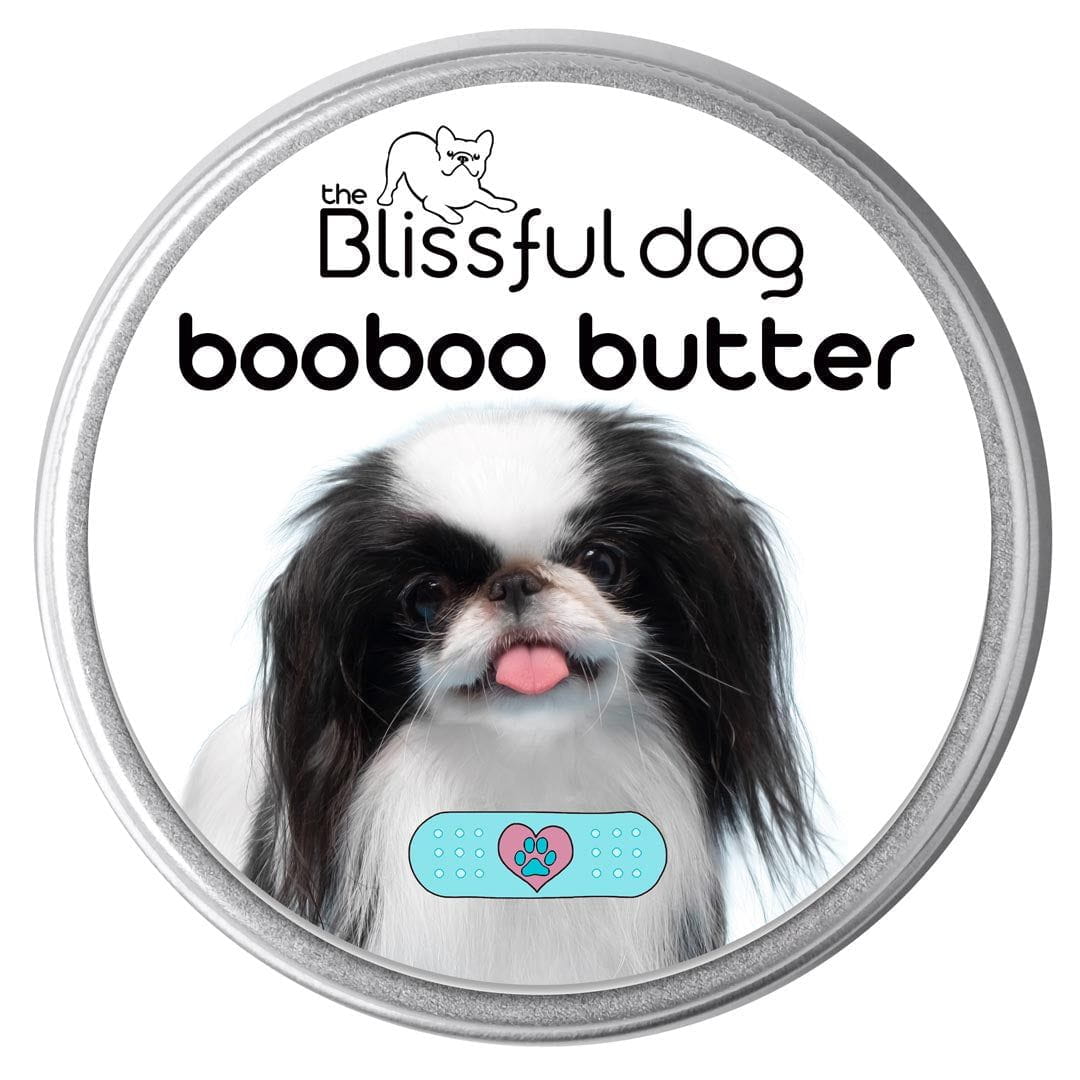 Japanese chin puppy cut top