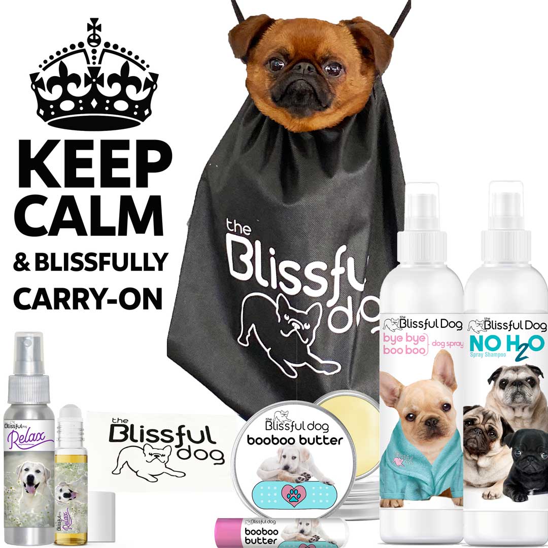 The Blissful Dog Emergency Kit