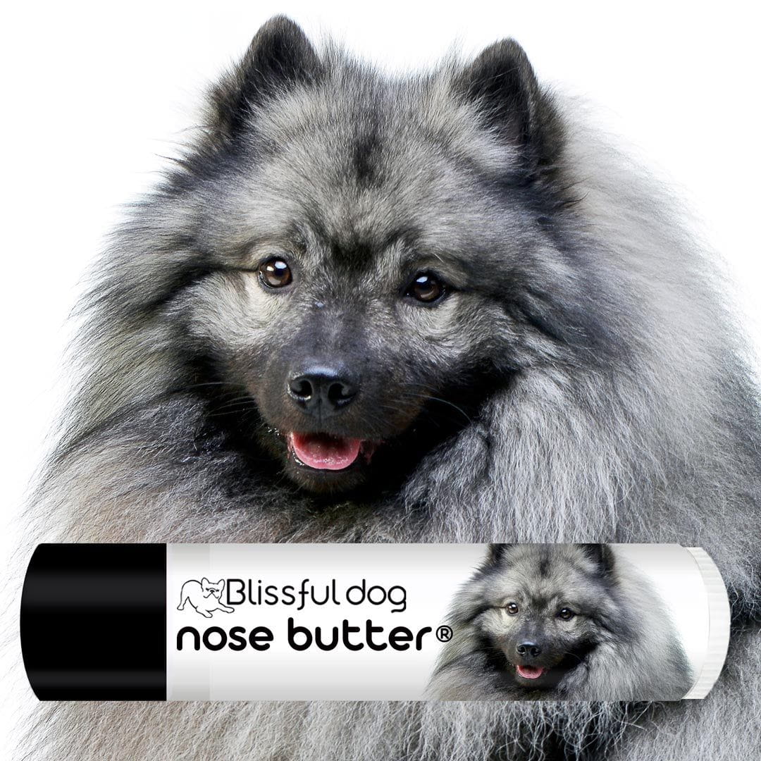 keeshond grooming
