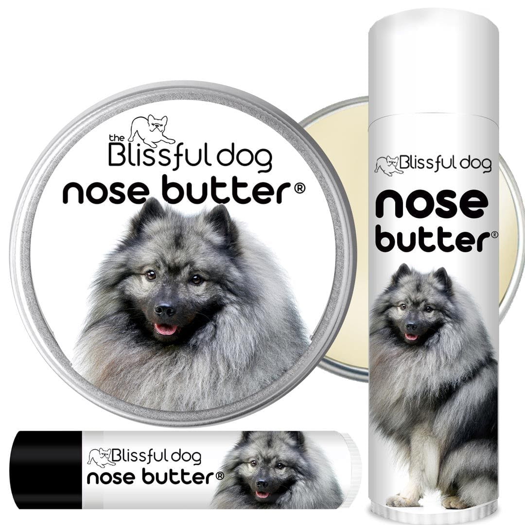 keeshond dry nose