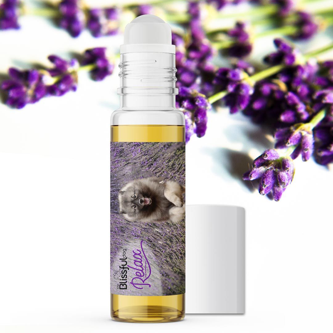 calming for keeshond