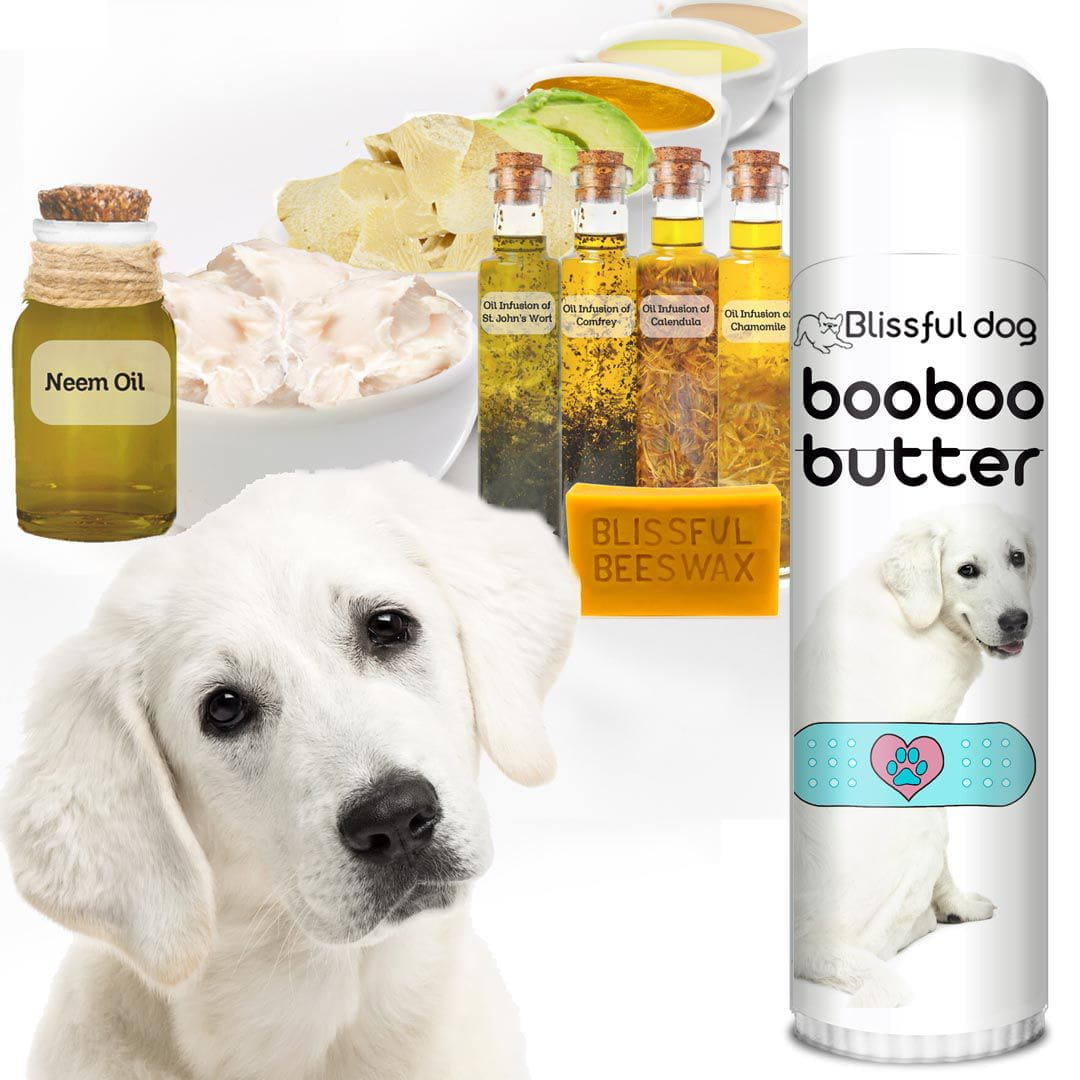 St john's deals wort for dogs