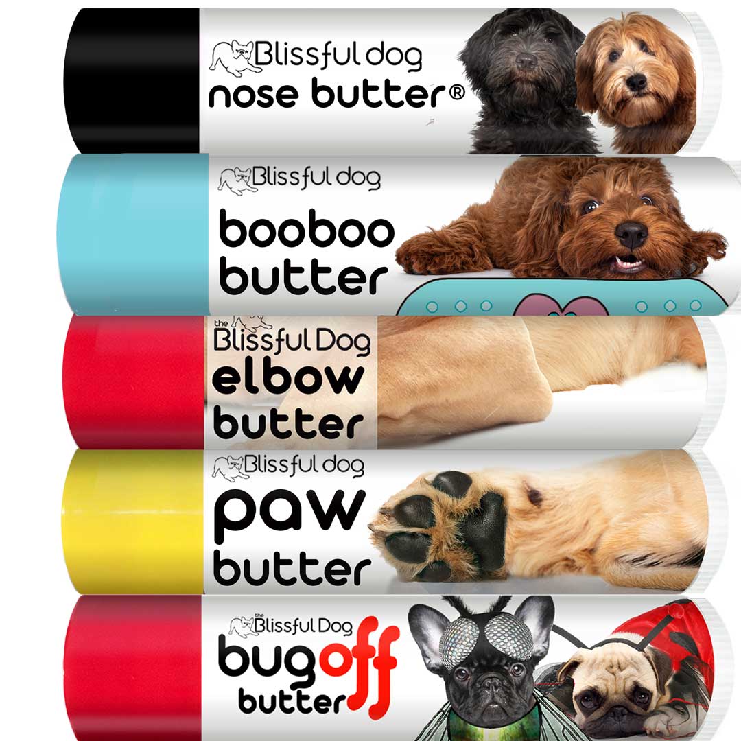 Labradoodle Tube Combo