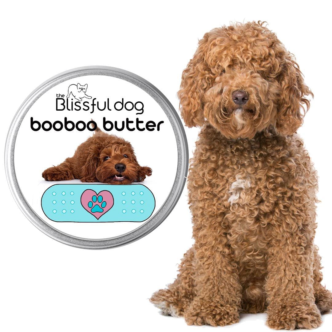 labradoodle boo boo butter