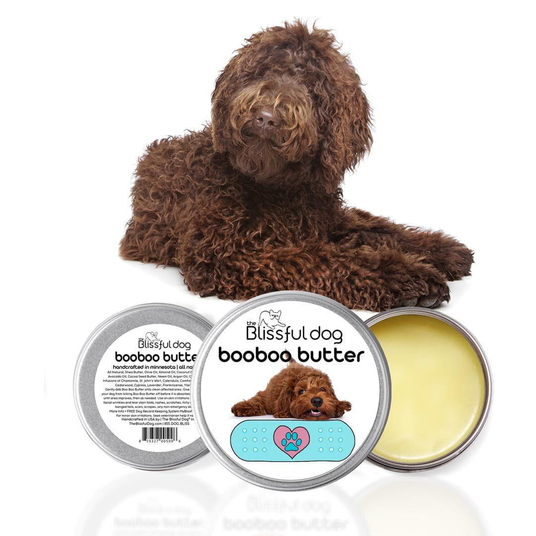 https://theblissfuldog.com/cdn/shop/products/LABRADOODLE_BOOBOO_3TIN_SHADOW_DOG2copy_1200x.jpg?v=1647180988