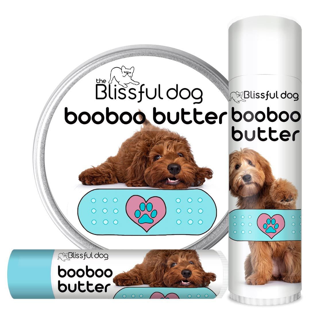 labradoodle boo boo butter