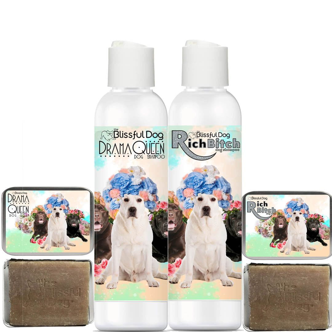 Labrador Retriever Shampoo