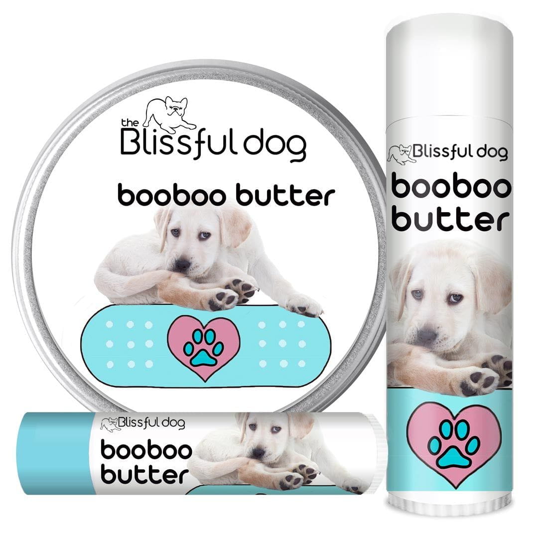 Shop Labrador Retriever Collection for Dry Noses, Elbow Calluses ...