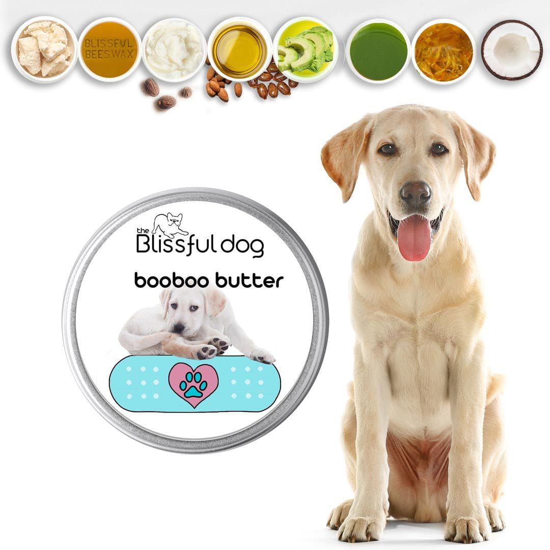 The Blissful Dog Boo Boo Butter Balm for Minor Dog Skin Irritations