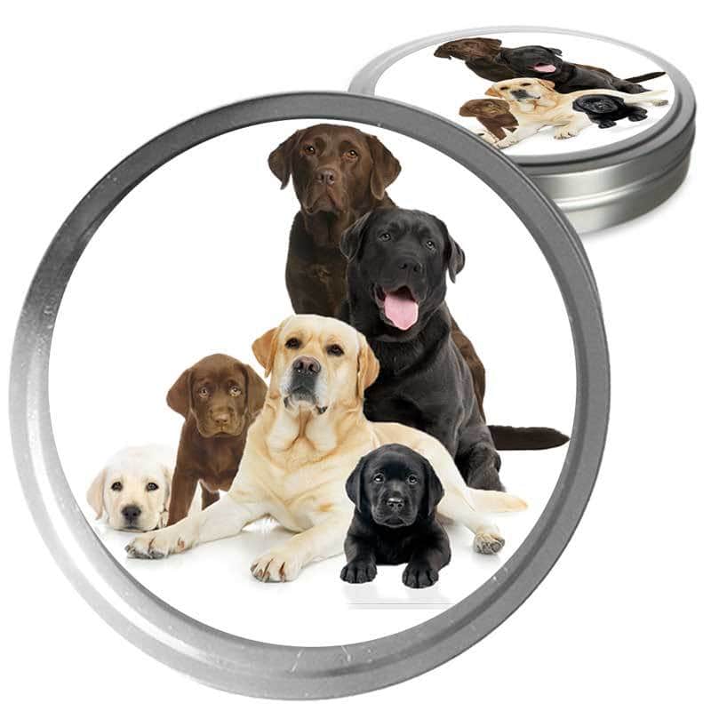 Labrador Retriever Custom Combo