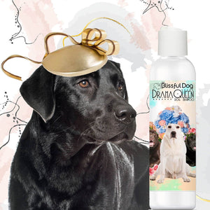 Labrador Retriever luxury shampoo
