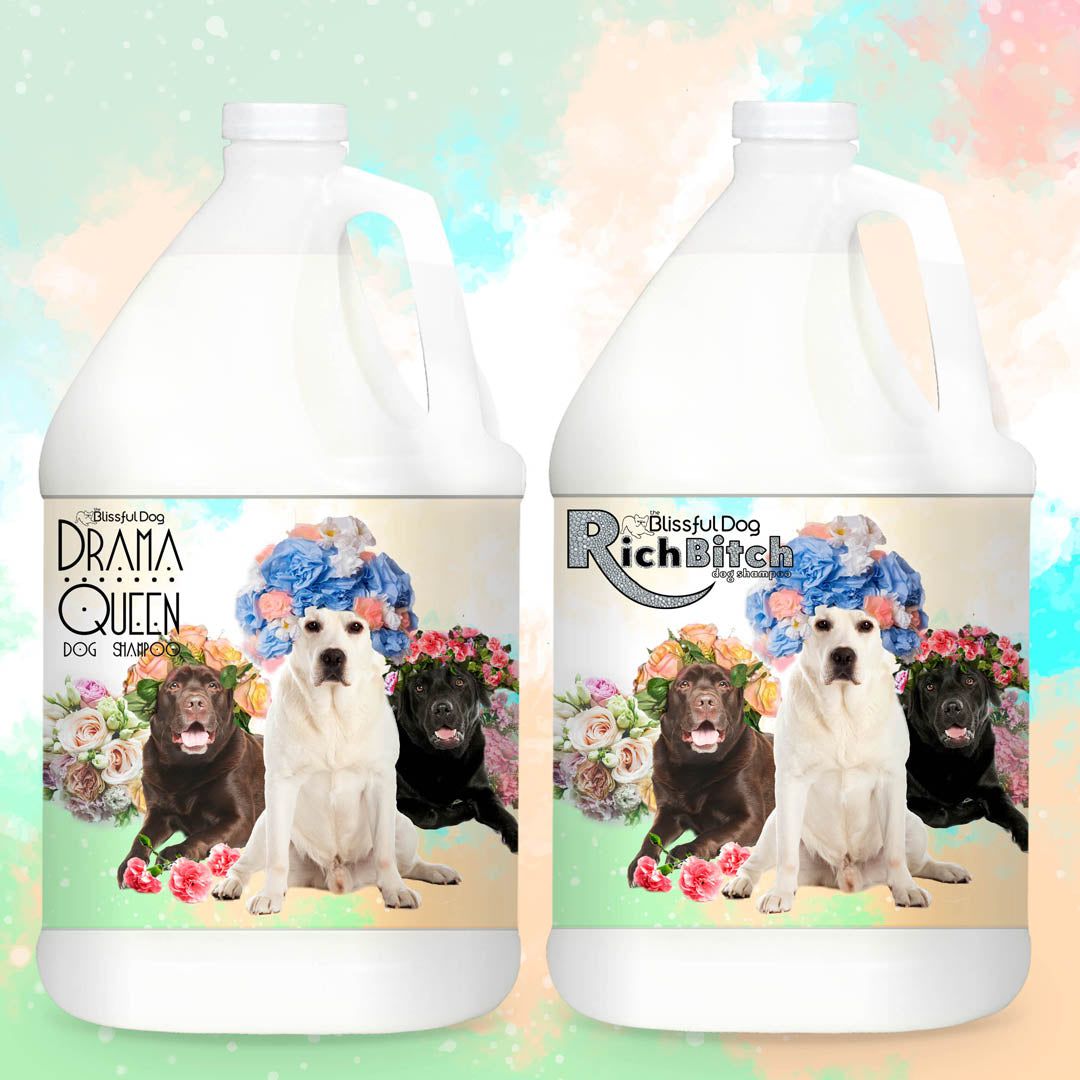 Rich Bitch Drama Queen Labrador Retriever Luxury Shampoo Soap