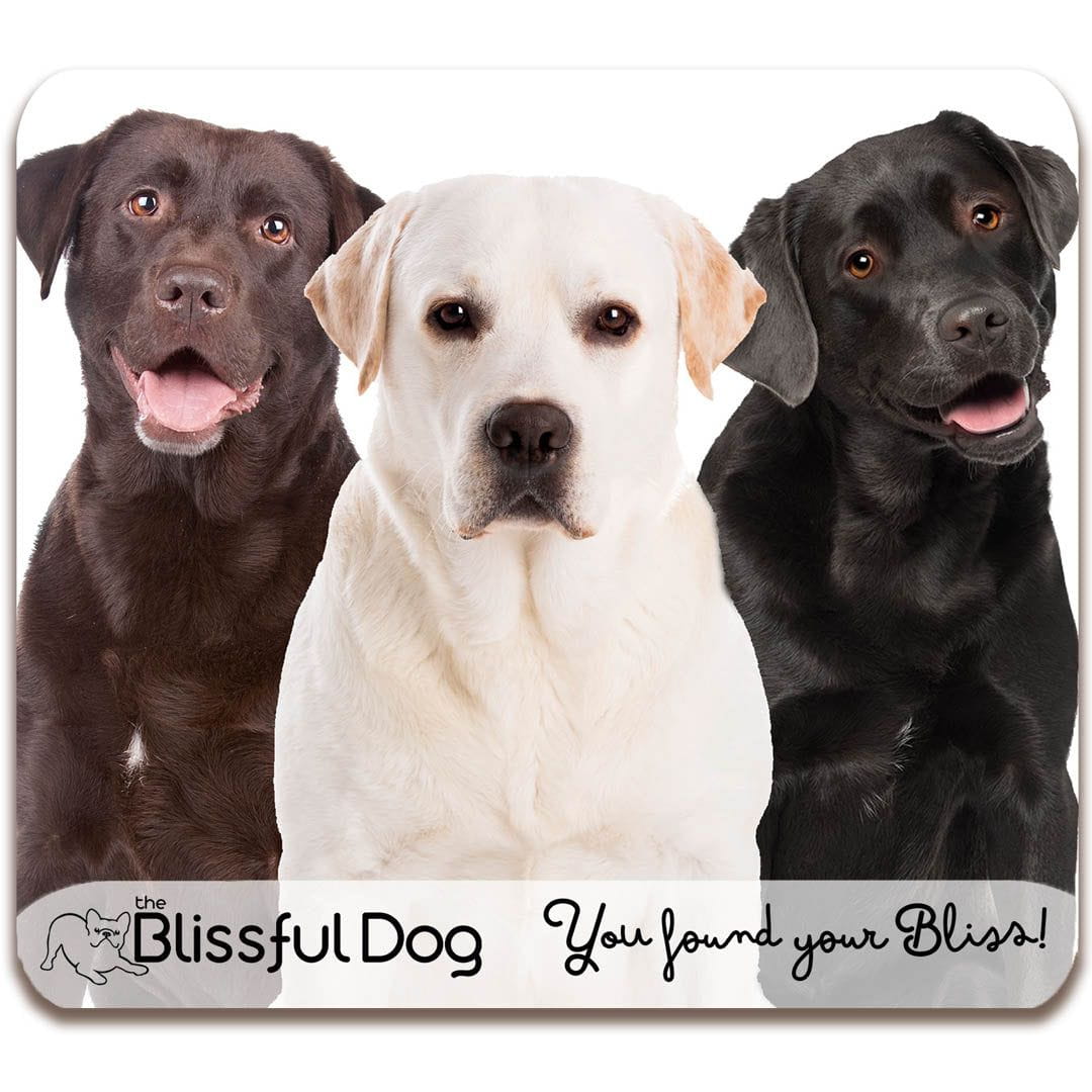labrador retriever gift