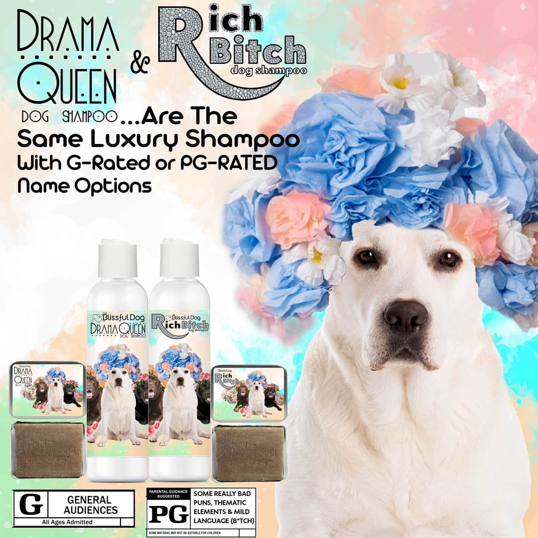 Labrador Retriever Rich Bitch Shampoo