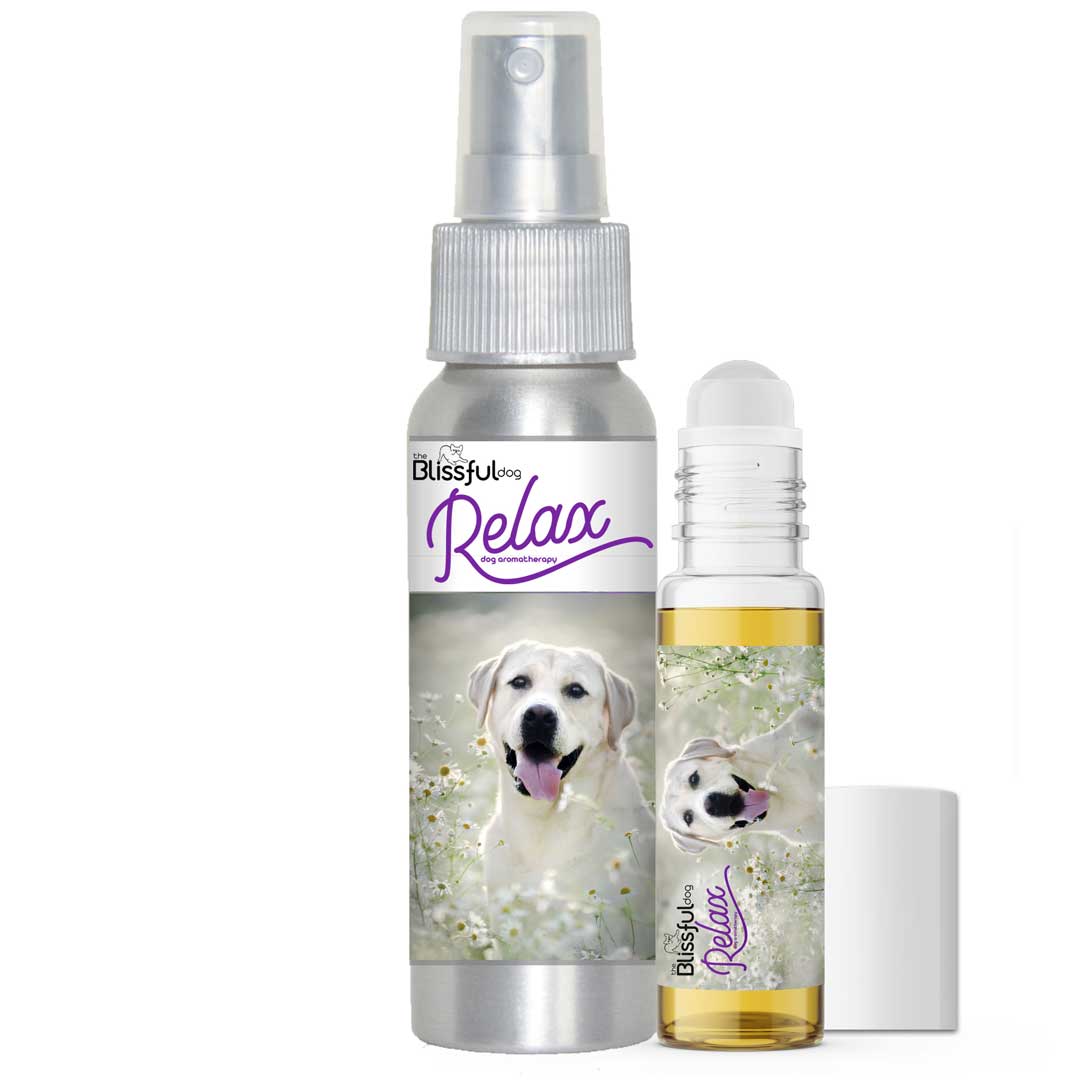 relax dog aromatherapy calming