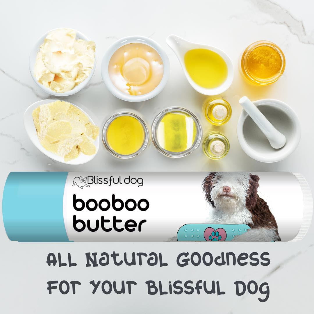 Lagotto Romangolo Tube Combo