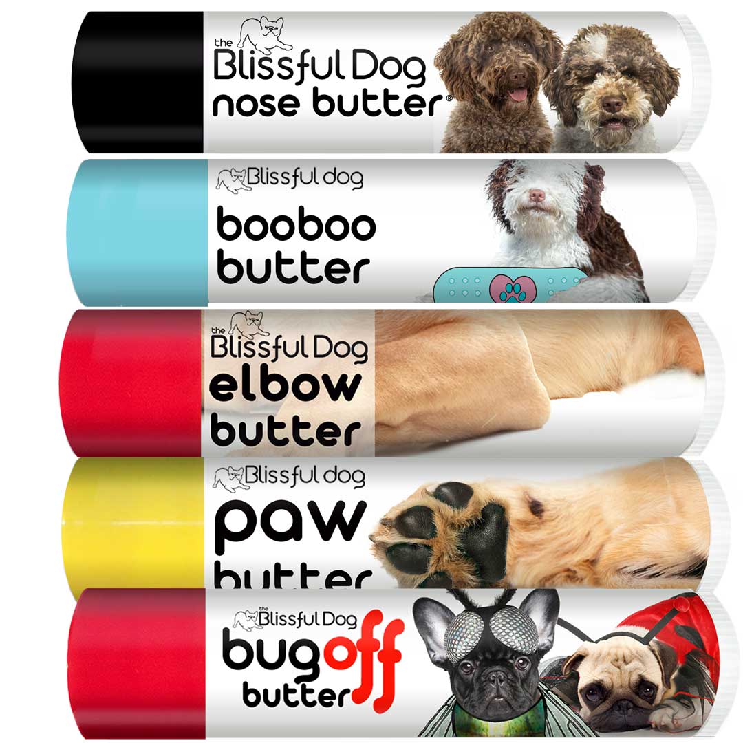 Lagotto Romagnolo Custom Combo