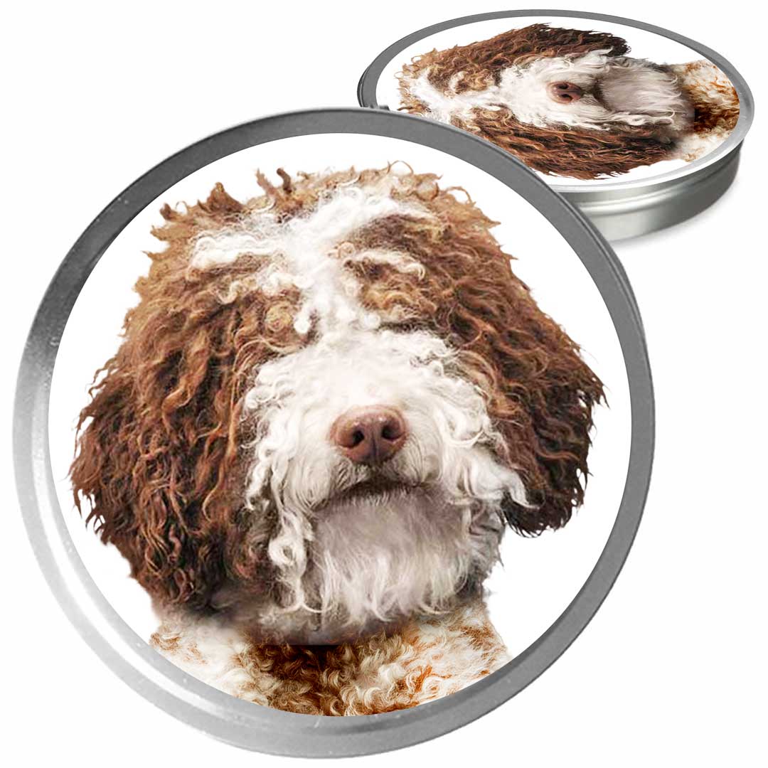 Lagotto Romagnolo Custom Combo