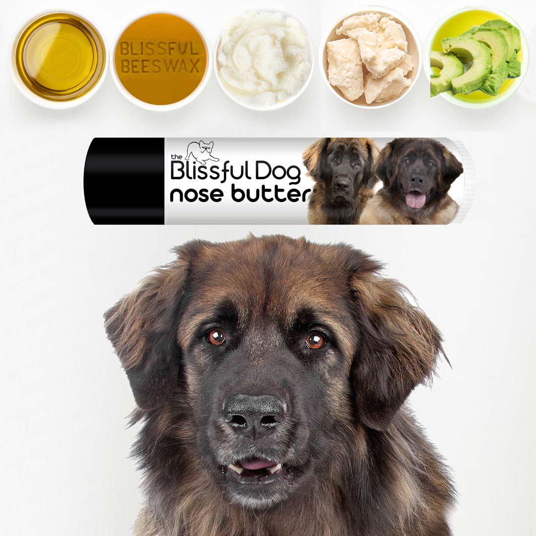 Leonberger Nose Balm