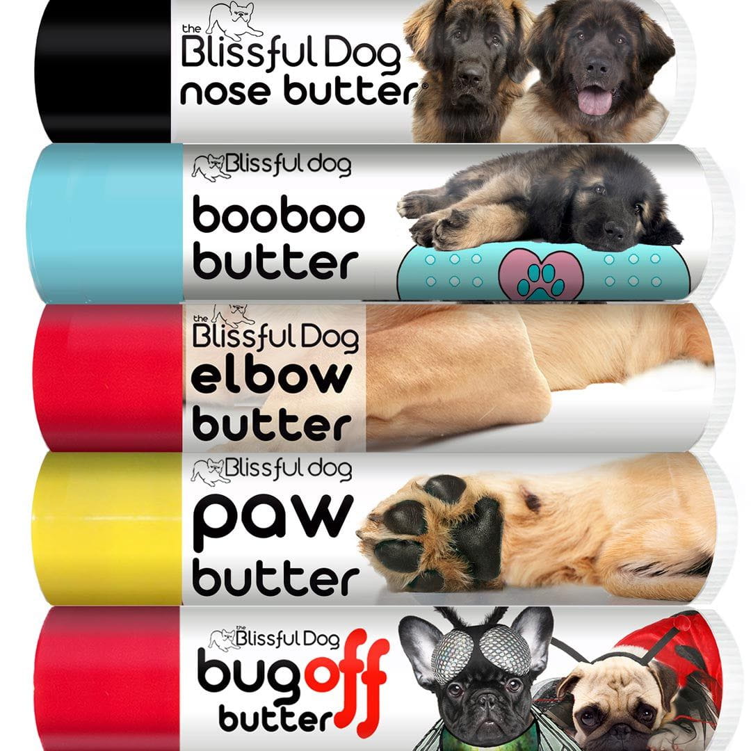 leonberger dog nose care