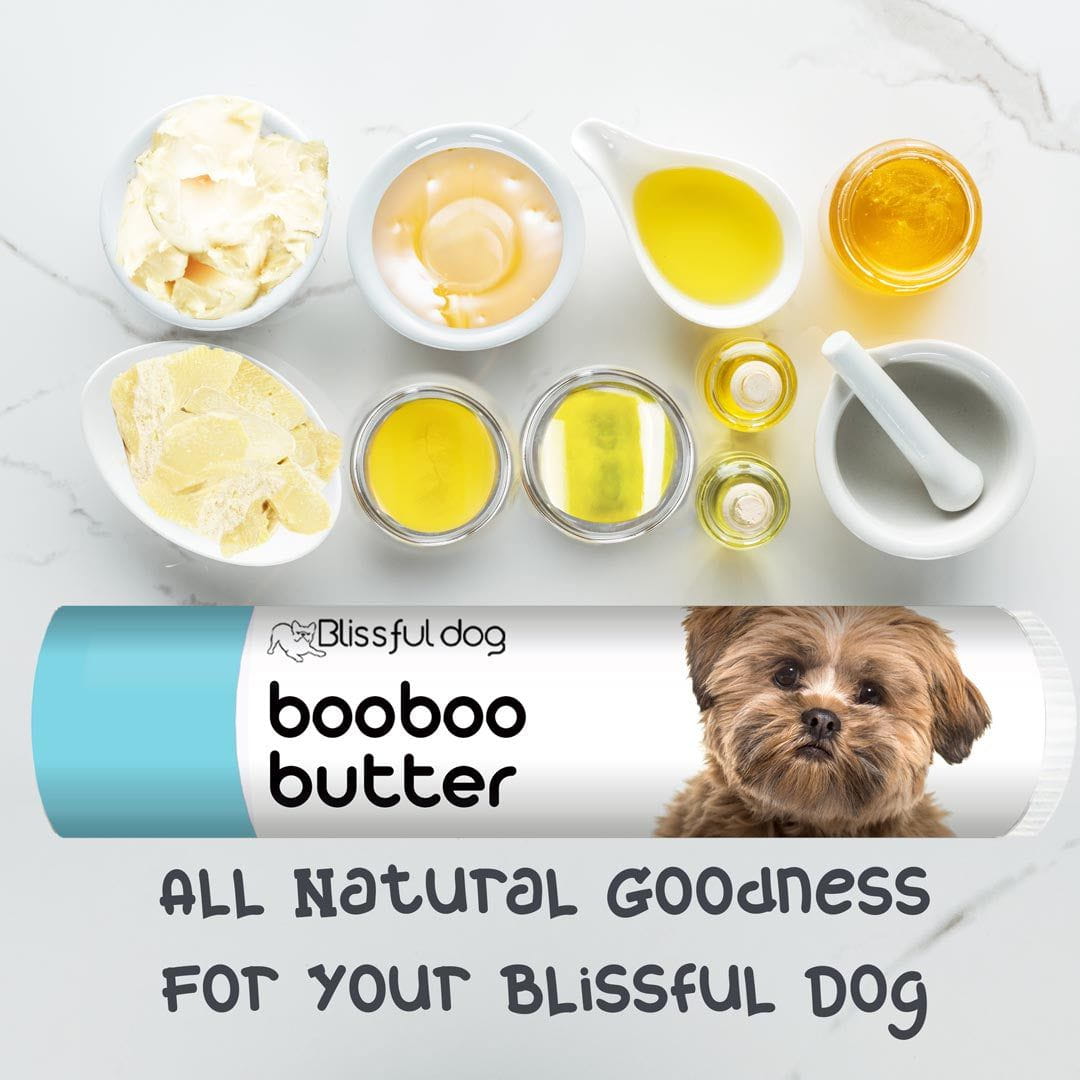 lhasa apso skin care