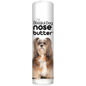 Lhasa Apso Nose is chapped