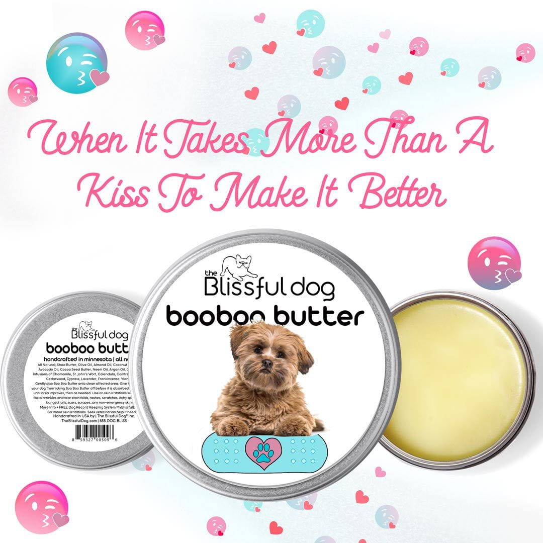 lhasa apso skin care