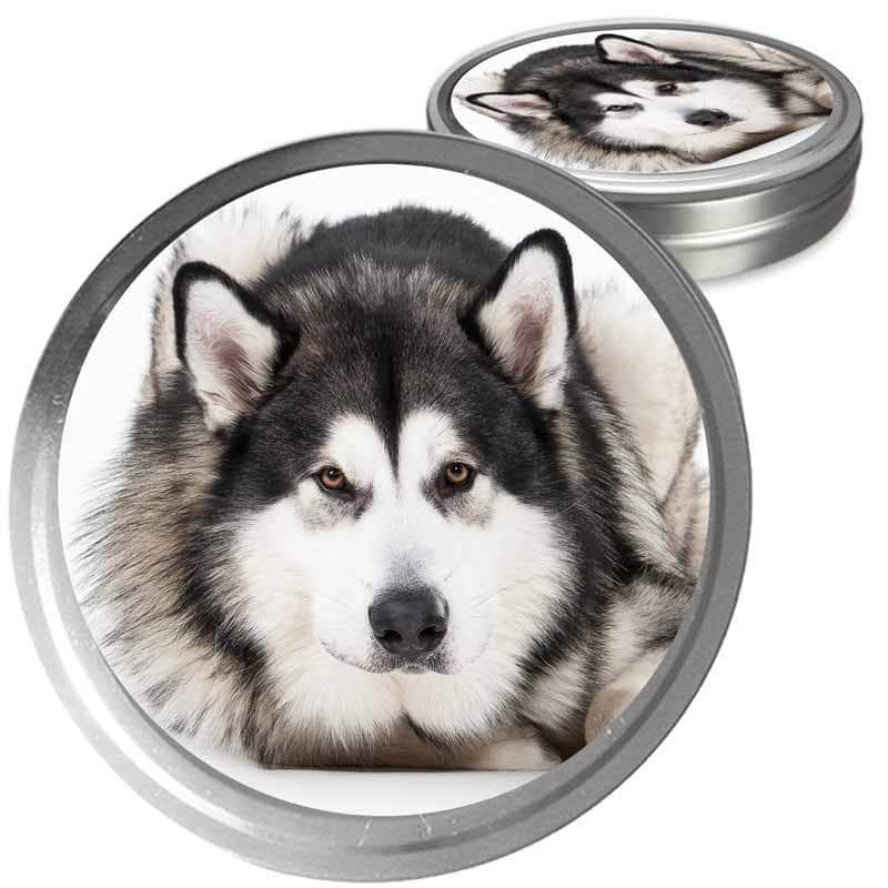 Alaskan Malamute Custom Combo