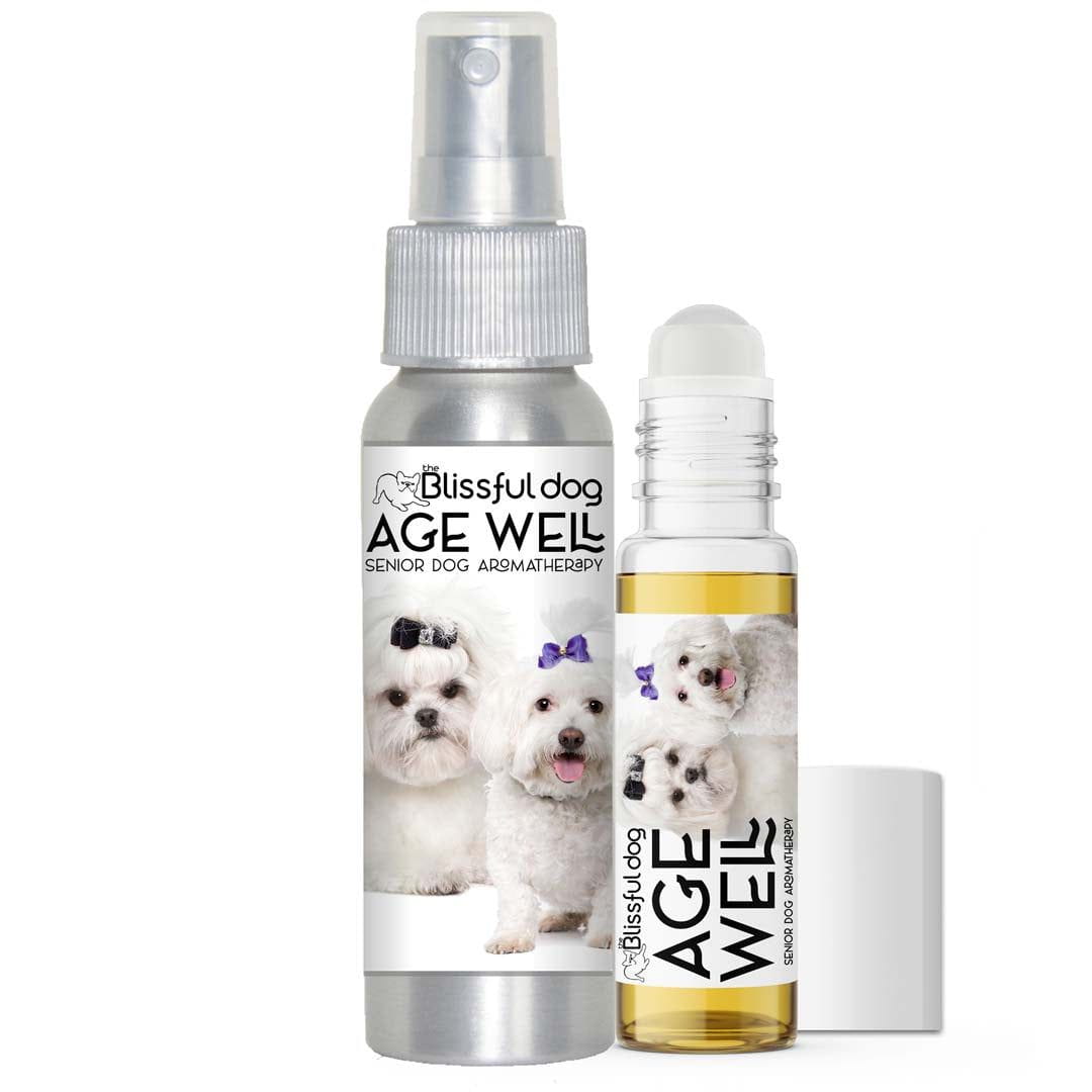maltese dog senior aromatherapy